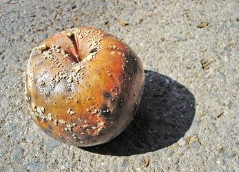 Is bad always stronger than good?