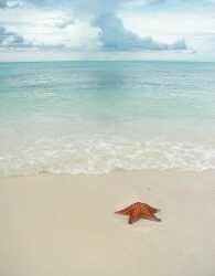 Can you really get away from it all?