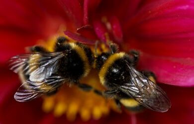 Ruthless time management