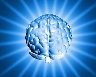 Strategy and your brain