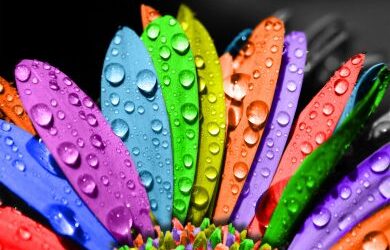 Managing multiple styles at work