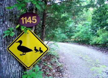 Leadership lessons from Mom