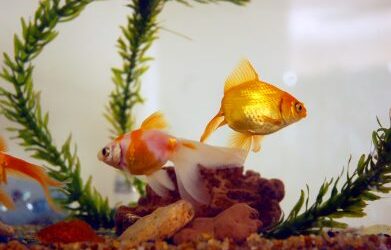 You don’t know what you don’t know