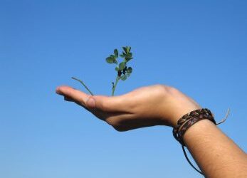 Accountability with compassion