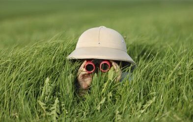 Impact forecast: A tool for strategic action