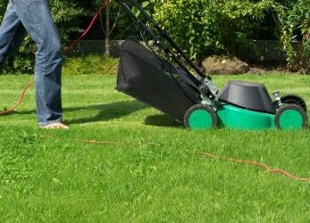 Maximum lessons for minimum wage