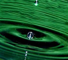 How and who do you influence?