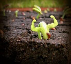 Creating a culture of ownership