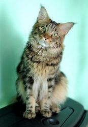 Make curiosity your default setting