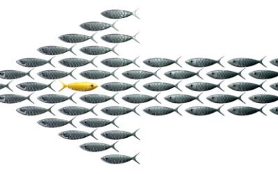 Expand your perspective