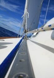 Could you take 2 months off?