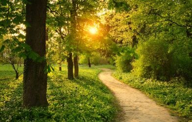 You’ll never be done