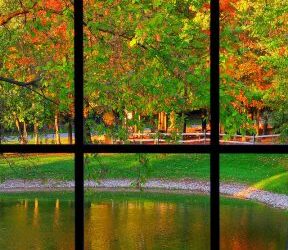 Surprising benefits of nature