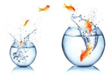 How to change your life