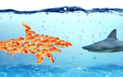 Making cross-functional magic