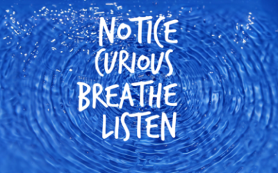 Mindfulness in conflict